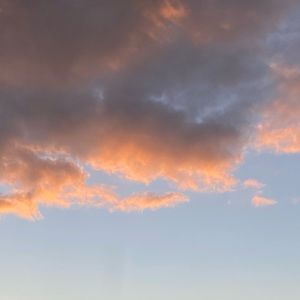 Meet your Posher, Yasmin